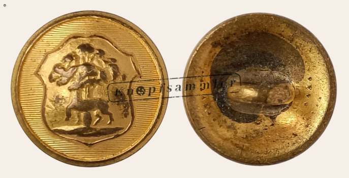 CBSS-Alin011-g14_(001)
