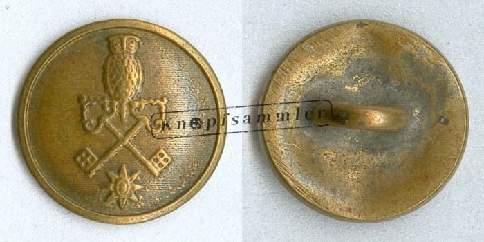 CDWS-SFV010-g14_(001)