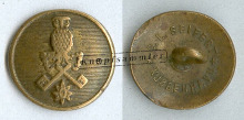 CDWS-SFV010-g16_(Sei01C03)