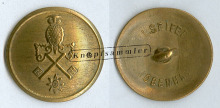 CDWS-SFV010-g24_(Sei01C03)a