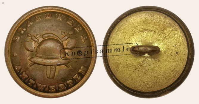CFWB-Ant020-g22_(01M02C05)