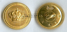 CBADK-K10010-g15_(Lin03G15)