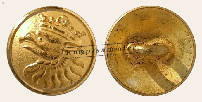 CBSS-Mal026-g14_(001)