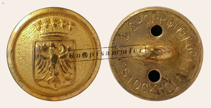 CBSS-Ore019-g14_(Spo01K05)
