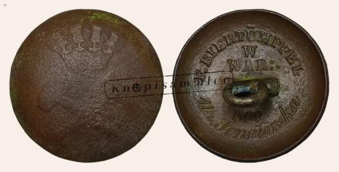 CIBPL-050011-gP20_(Bie02A12C)
