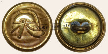 CFWNL-700010-g16_(001)