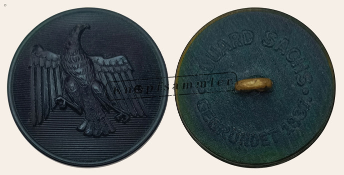 CLFD-0P7410-h24_(Sac01H01)a