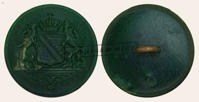 CLFD-1B7210-h24_(001)a