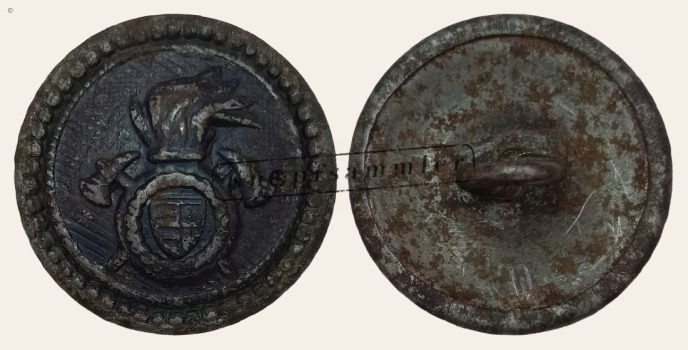 CFWH-500010-ws22_(001)