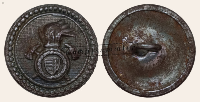 CFWH-500010-ws22_(001)