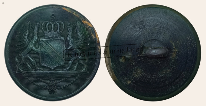 CLFD-1B7210-h24_(001)c