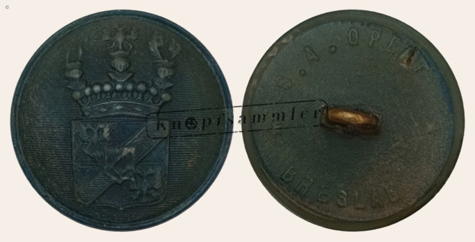 CLFD-4Mag10-h24_(Ope01H01)