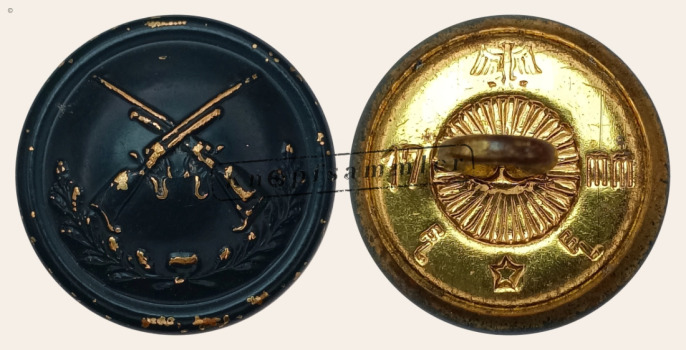 CGVD-R17401B-f17_(Lin03H17)