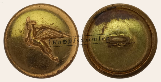 CTEW2SA-SAA961-g19_(001)