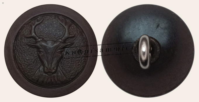 CLJD-80NG10-k19_(001)