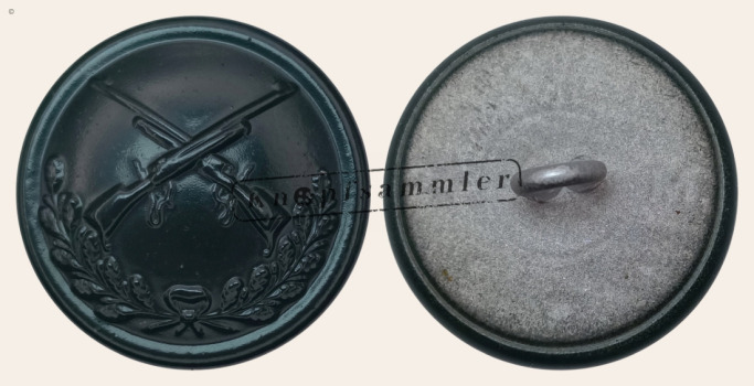 CGVD-R17401B-f24_(Lin03G24)a